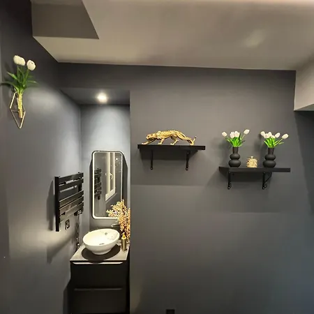 La Tentation Apartment Cannes